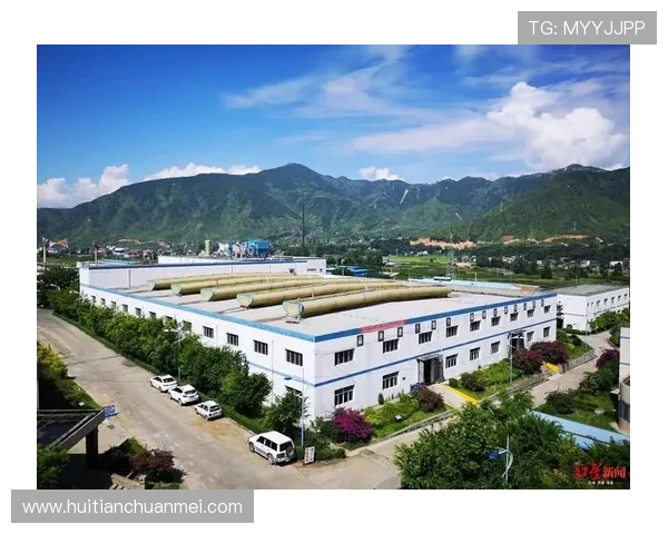 华体会全站国米的赞助商合作案例分析及其对足球产业链的积极推动作用