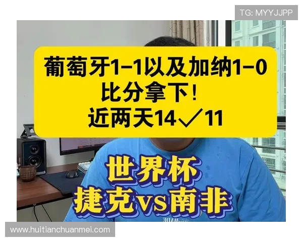 捷克与南非世界杯比赛全场比分总结，带你回顾激烈对决的精彩瞬间